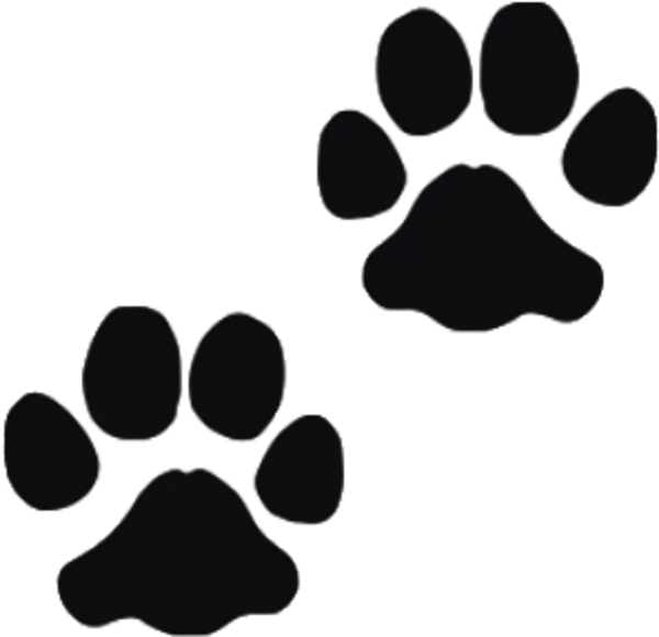 Kategoribild för Tassavtryck