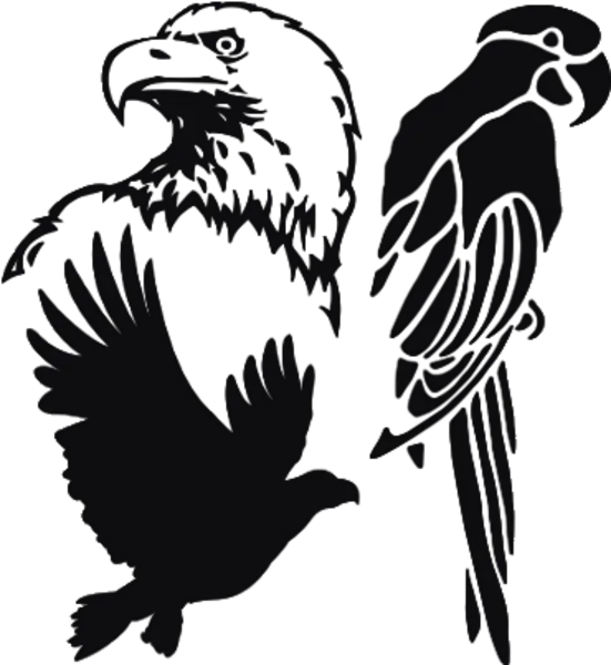 Kategoribild för Fåglar