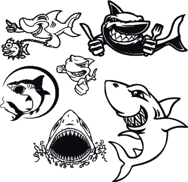 Kategoribild för Hajar