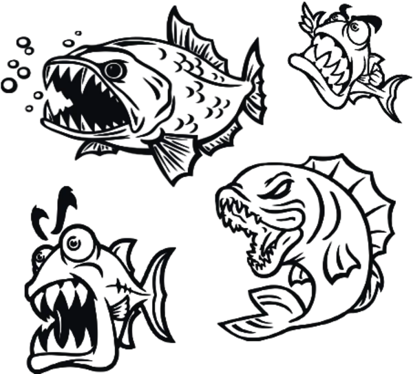 Kategoribild för Piranha