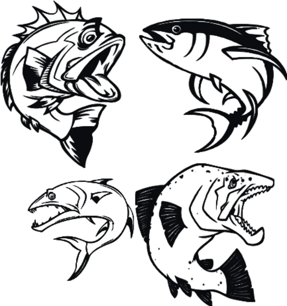 Kategoribild för Rovfiskar