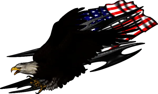 Kategoribild för Eagle