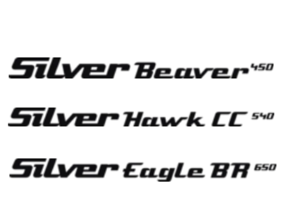 Kategoribild för Silver