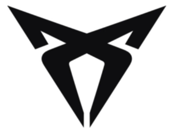 Kategoribild för Cupra