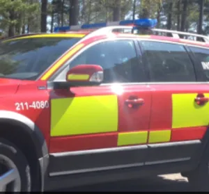 Kategoribild Reflexdekor