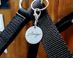 Kategoribild för Berlocker