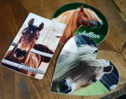 Kategoribild för Dekaler Eget motiv