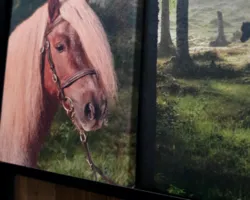 Kategoribild för Canvas