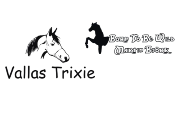 Kategoribild för Hästtexter