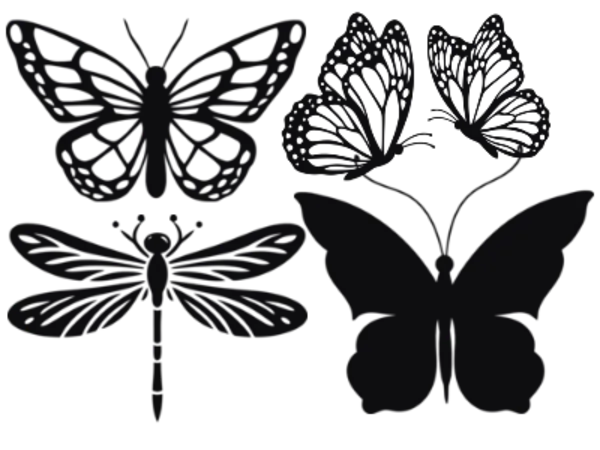 Kategoribild för Fjärilar & Insekter