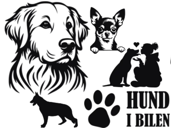 Kategoribild för Hundar