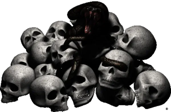 Kategoribild för Skull Snake