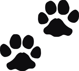 Storleken är för båda avtrycken räknat i en rektangel.