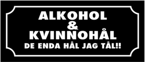 Skämtdekal Alkohol och kvinnohål de enda hål jag tål