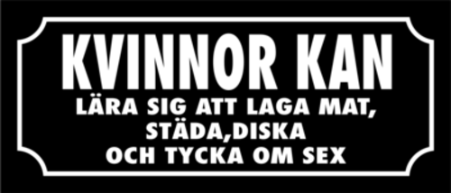 Skämtdekal Kvinnor kan lära sig laga mat, städa, diska och tycka om sex