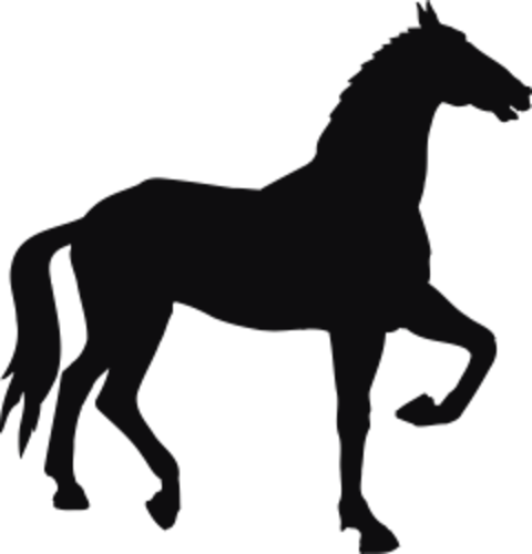 Dekal Häst