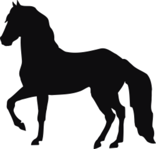 Dekal Häst