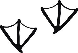 Storleken är för båda avtrycken räknat i en rektangel.