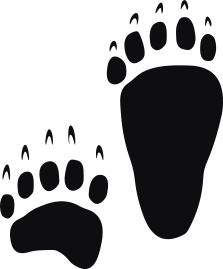 Storleken är för båda avtrycken räknat i en rektangel.