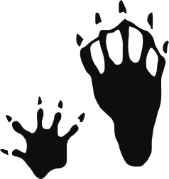 Storleken är för båda avtrycken räknat i en rektangel.