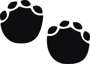 Storleken är för båda avtrycken räknat i en rektangel.