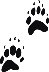 Storleken är för båda avtrycken räknat i en rektangel.