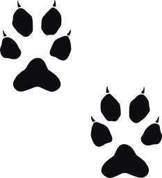 Storleken är för båda avtrycken räknat i en rektangel.