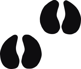 Storleken är för båda avtrycken räknat i en rektangel.