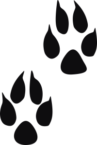 Storleken är för båda avtrycken räknat i en rektangel.