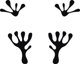 Storleken är för båda avtrycken räknat i en rektangel.