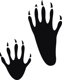 Storleken är för båda avtrycken räknat i en rektangel.