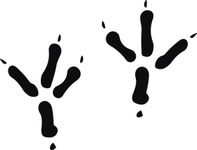 Storleken är för båda avtrycken räknat i en rektangel.