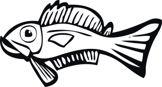Fisk 