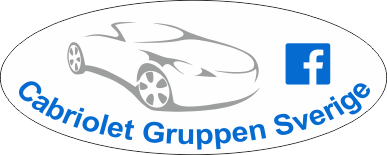 Denna dekalen är screentryckt (printad) och formskuren på vit folie.