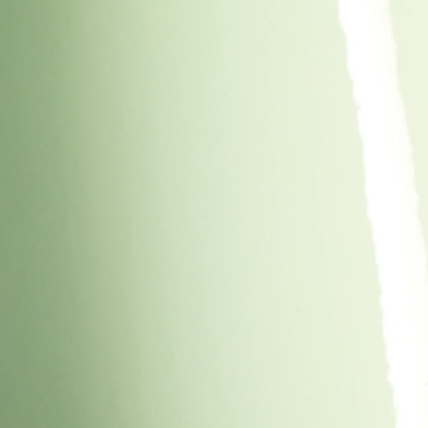 Gloss Light Pistachio BK9540001  