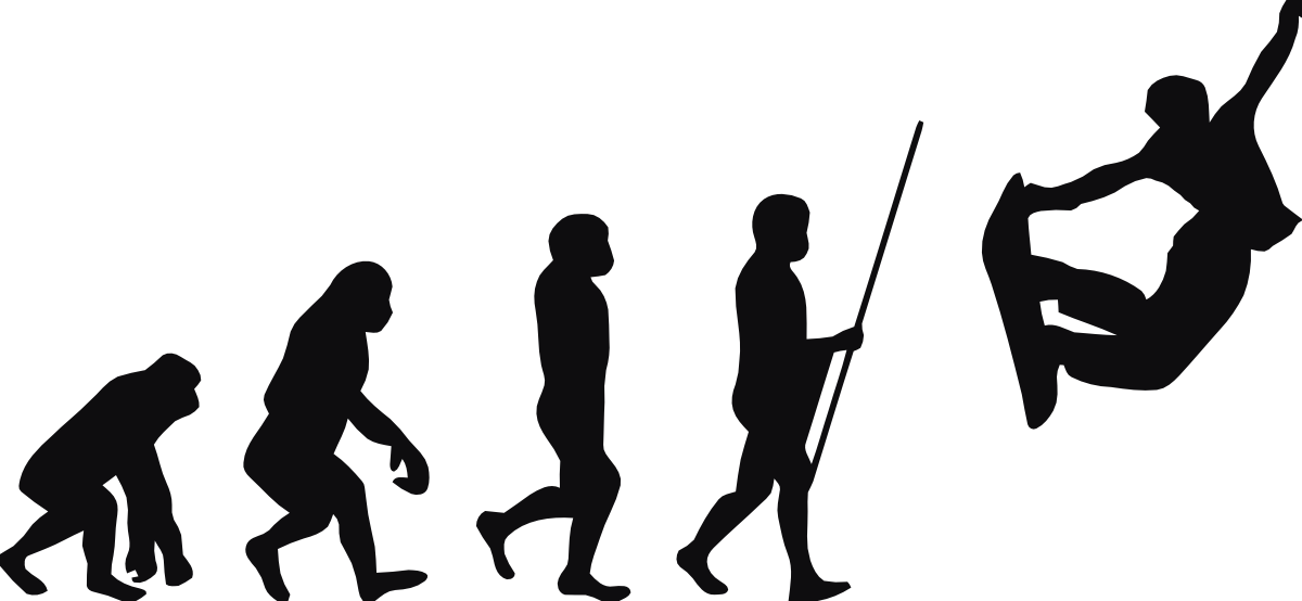 Snowboard evolution dekal