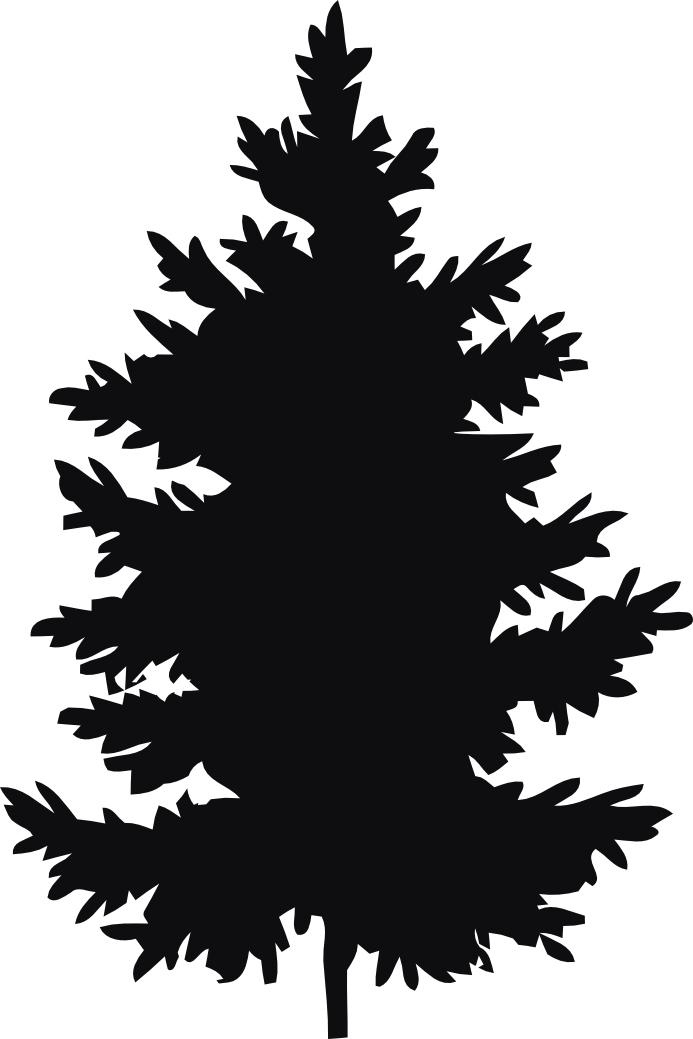 Datorskuren dekal. Växt, träd, gran, skog