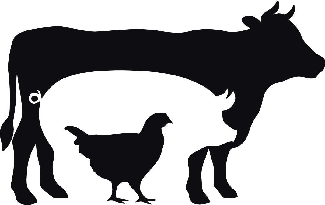 Ko, gris & höna dekal