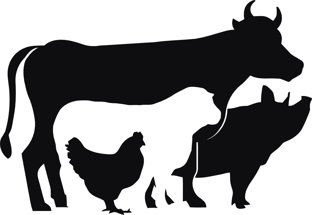 Ko, gris, får & höna dekal