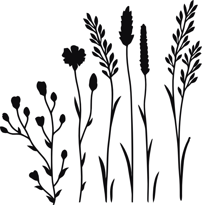 Datorskuren dekal. Växt, kvist, gren, blad, strå, blomma