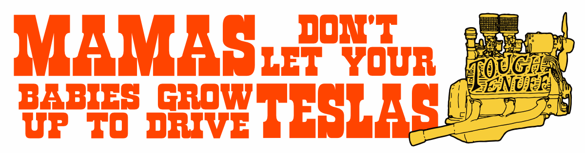 MAMAS DON'TLET YOUR BABIES GROWUP TO DRIVE TESLAS 