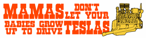 MAMAS DON'TLET YOUR BABIES GROWUP TO DRIVE TESLAS 