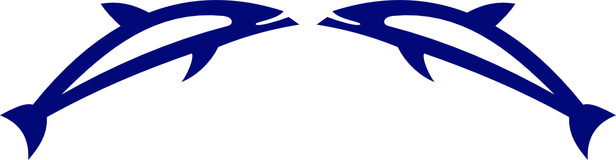 Fjord Dolphin delfiner