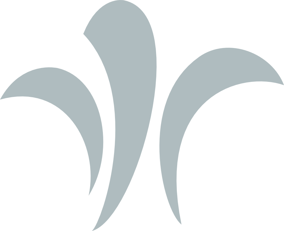 Niesmann logo